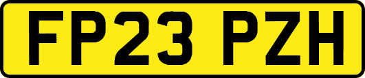 FP23PZH