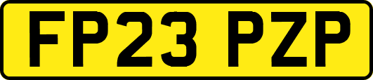 FP23PZP
