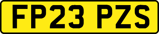 FP23PZS