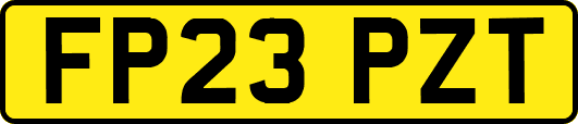 FP23PZT