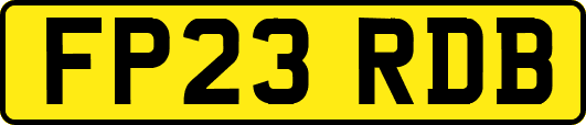 FP23RDB