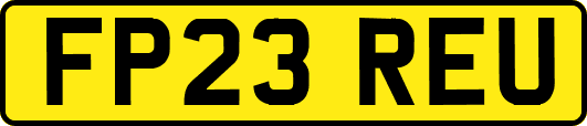 FP23REU