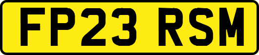 FP23RSM