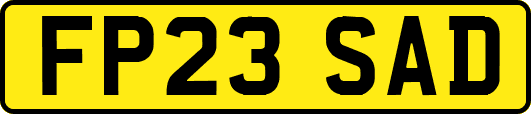 FP23SAD