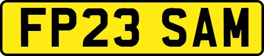 FP23SAM
