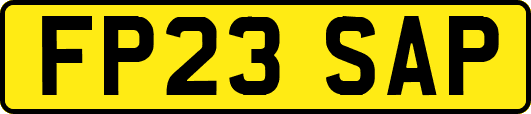 FP23SAP