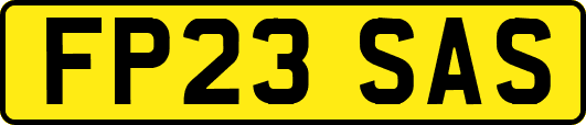 FP23SAS