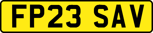 FP23SAV