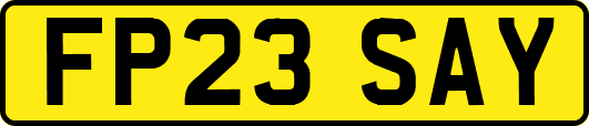 FP23SAY