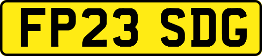 FP23SDG