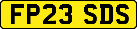 FP23SDS