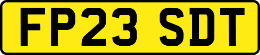 FP23SDT