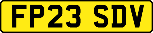 FP23SDV