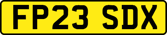 FP23SDX