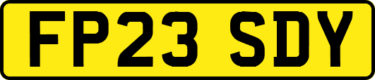 FP23SDY