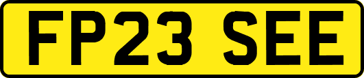 FP23SEE