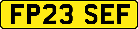 FP23SEF