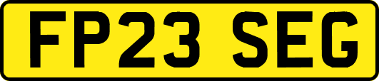 FP23SEG