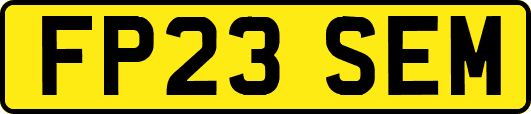 FP23SEM