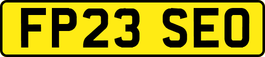 FP23SEO