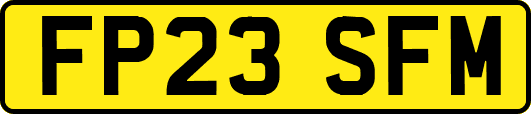 FP23SFM