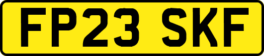 FP23SKF