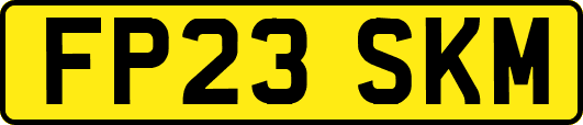 FP23SKM