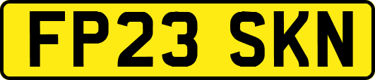 FP23SKN