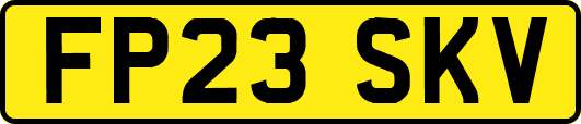 FP23SKV