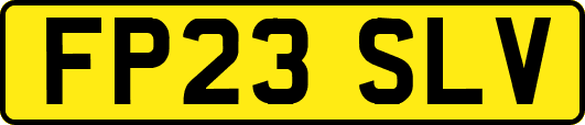 FP23SLV