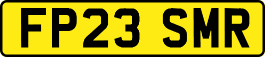 FP23SMR