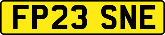 FP23SNE