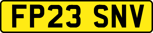 FP23SNV
