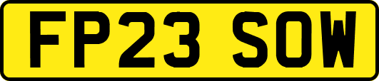FP23SOW