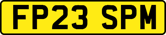 FP23SPM