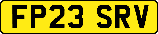 FP23SRV