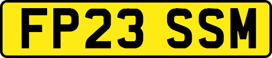FP23SSM