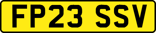 FP23SSV