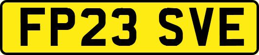 FP23SVE