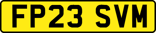 FP23SVM
