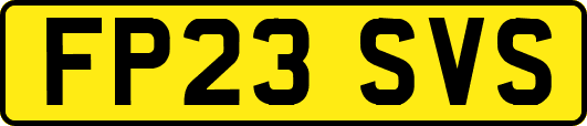 FP23SVS