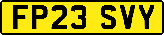FP23SVY