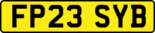 FP23SYB