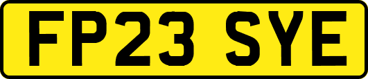 FP23SYE