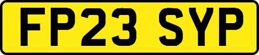 FP23SYP