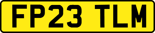 FP23TLM