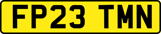FP23TMN