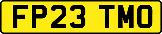 FP23TMO