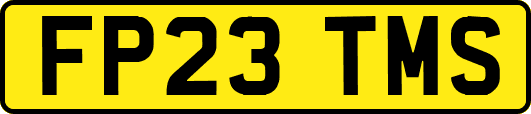 FP23TMS
