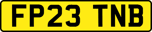 FP23TNB